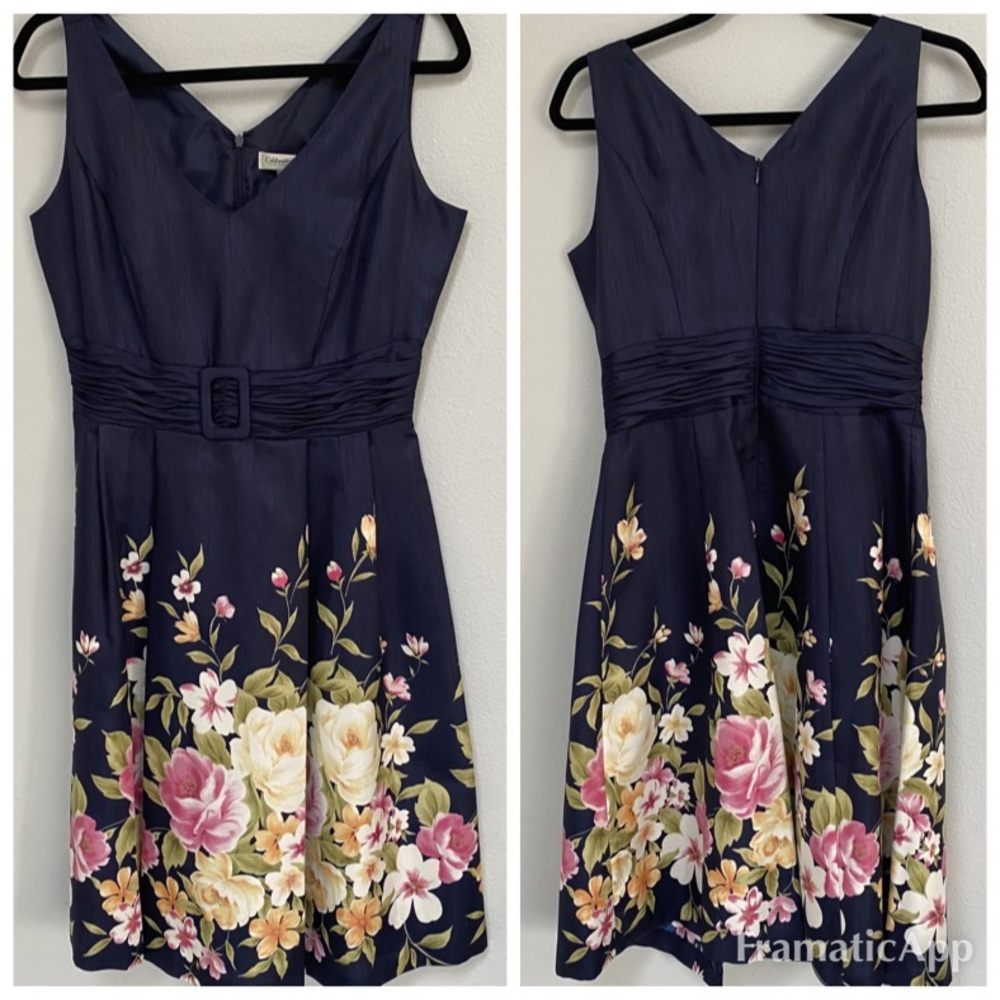 Coldwater Creek Floral Fit & Flare midi Dress